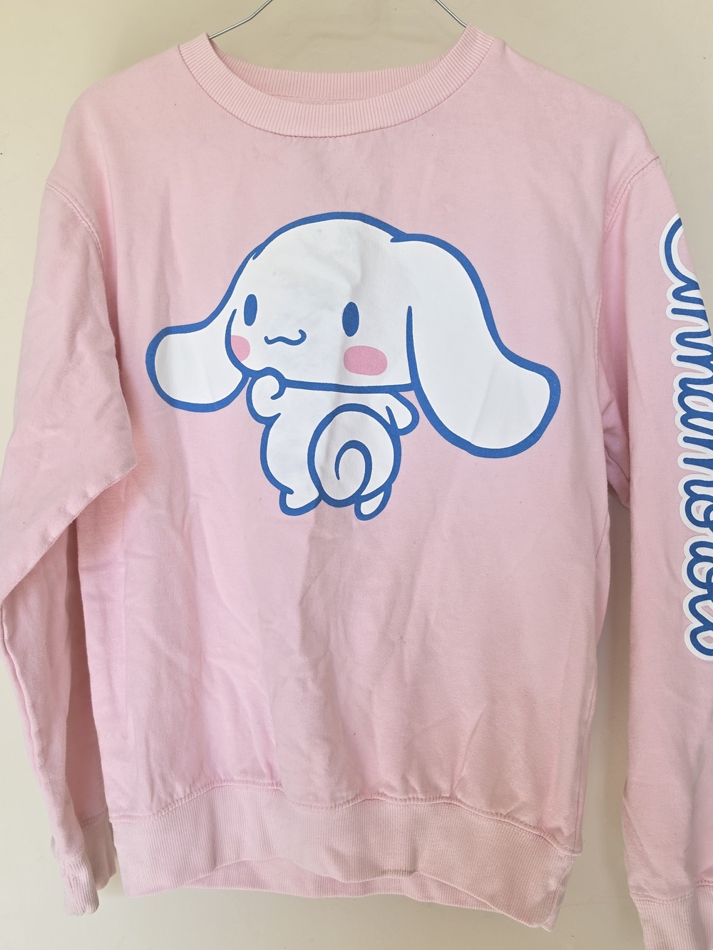 Sanrio Pink Cinnamoroll Graphic Sweatshirt